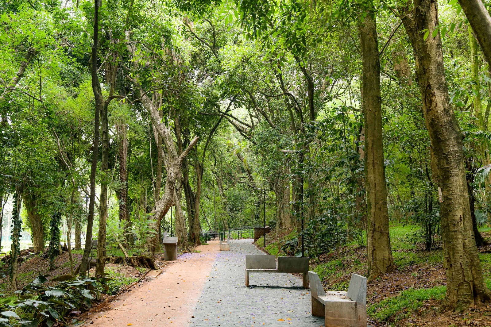 Centro de São Paulo