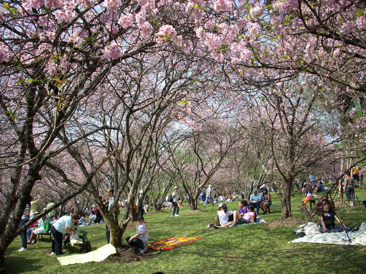 Zona Leste de São Paulo