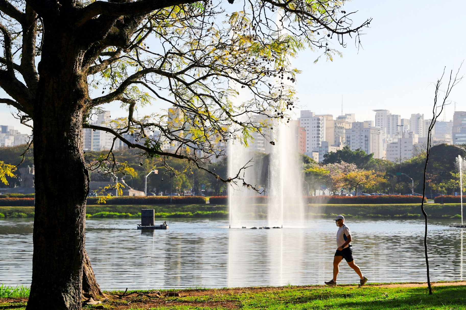 Zona Sul de São Paulo